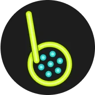 no钱包app官方入口